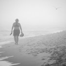 Into the Fog